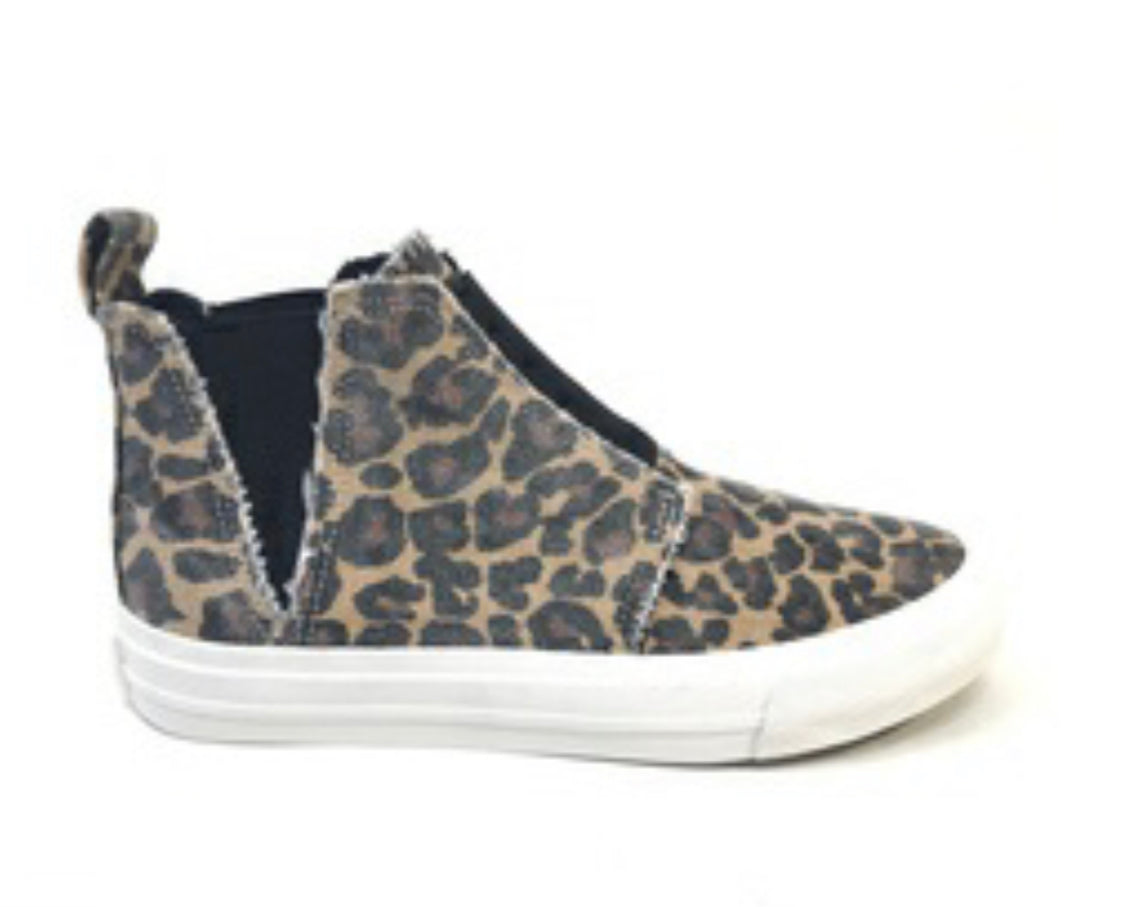 Frankie in Leopard by Gypsy Jazz